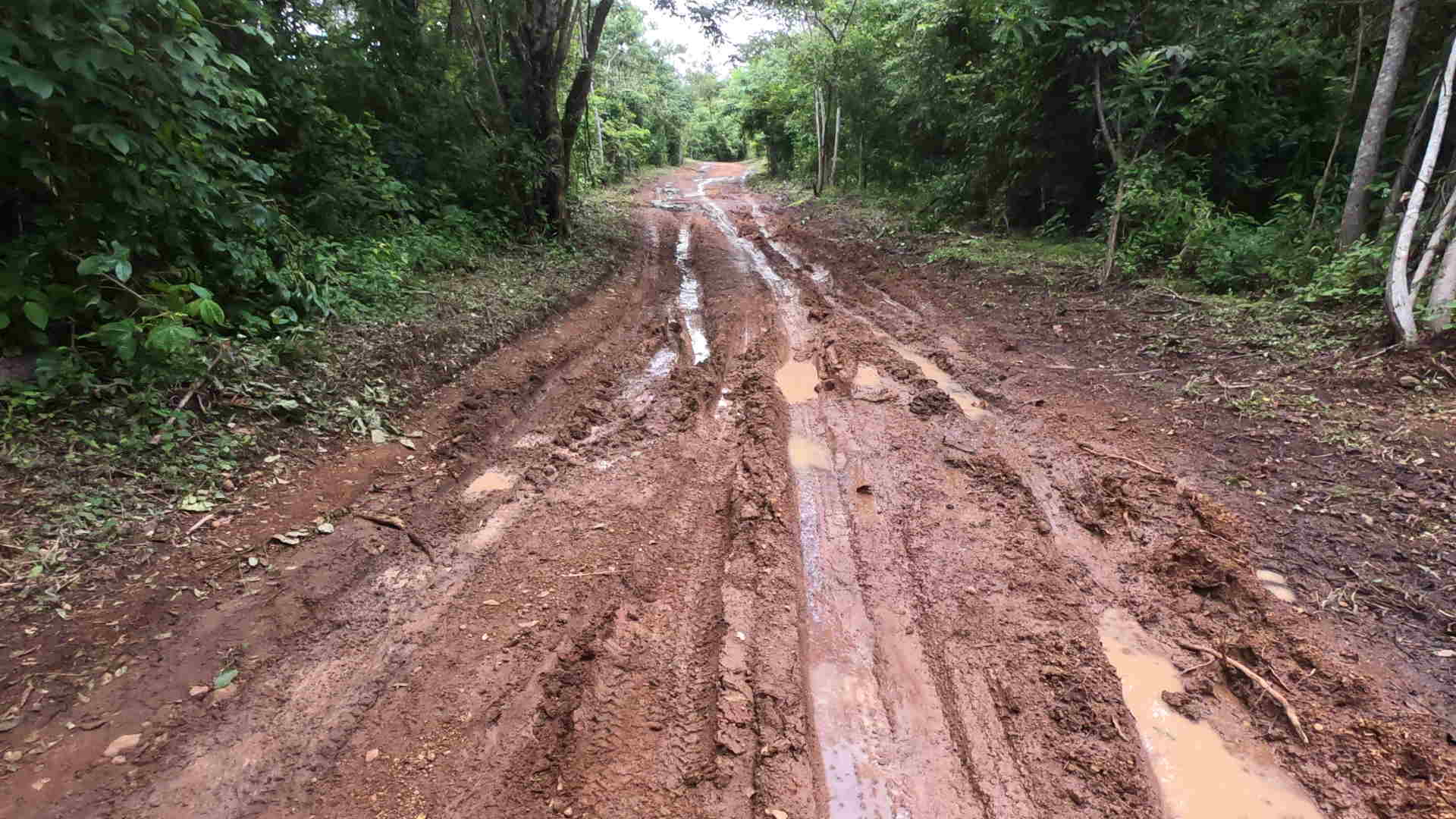 road-guanacaste.jpg
