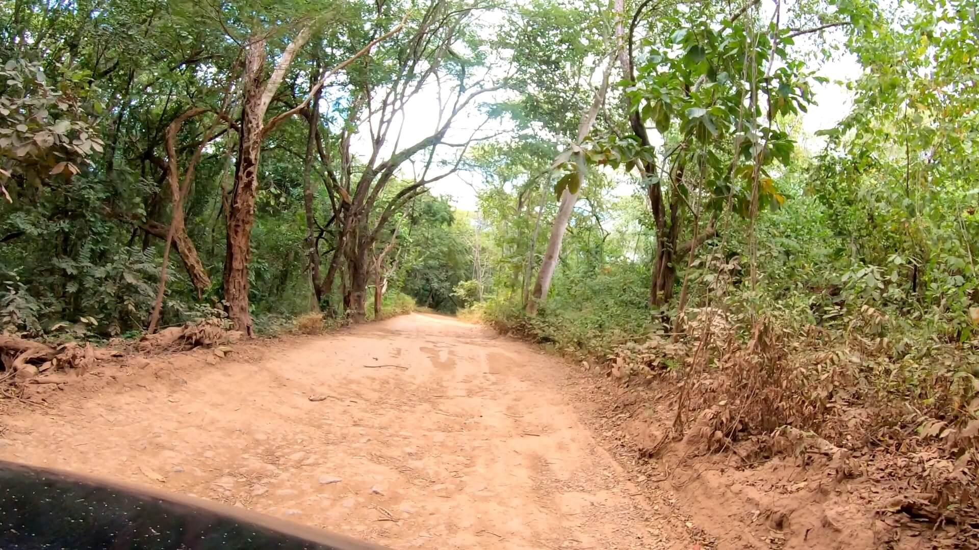 road to zapotillal