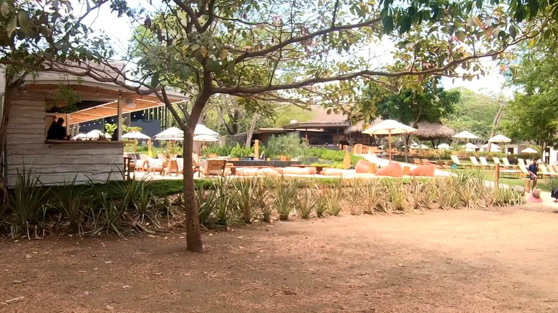 mangroove resort in panama