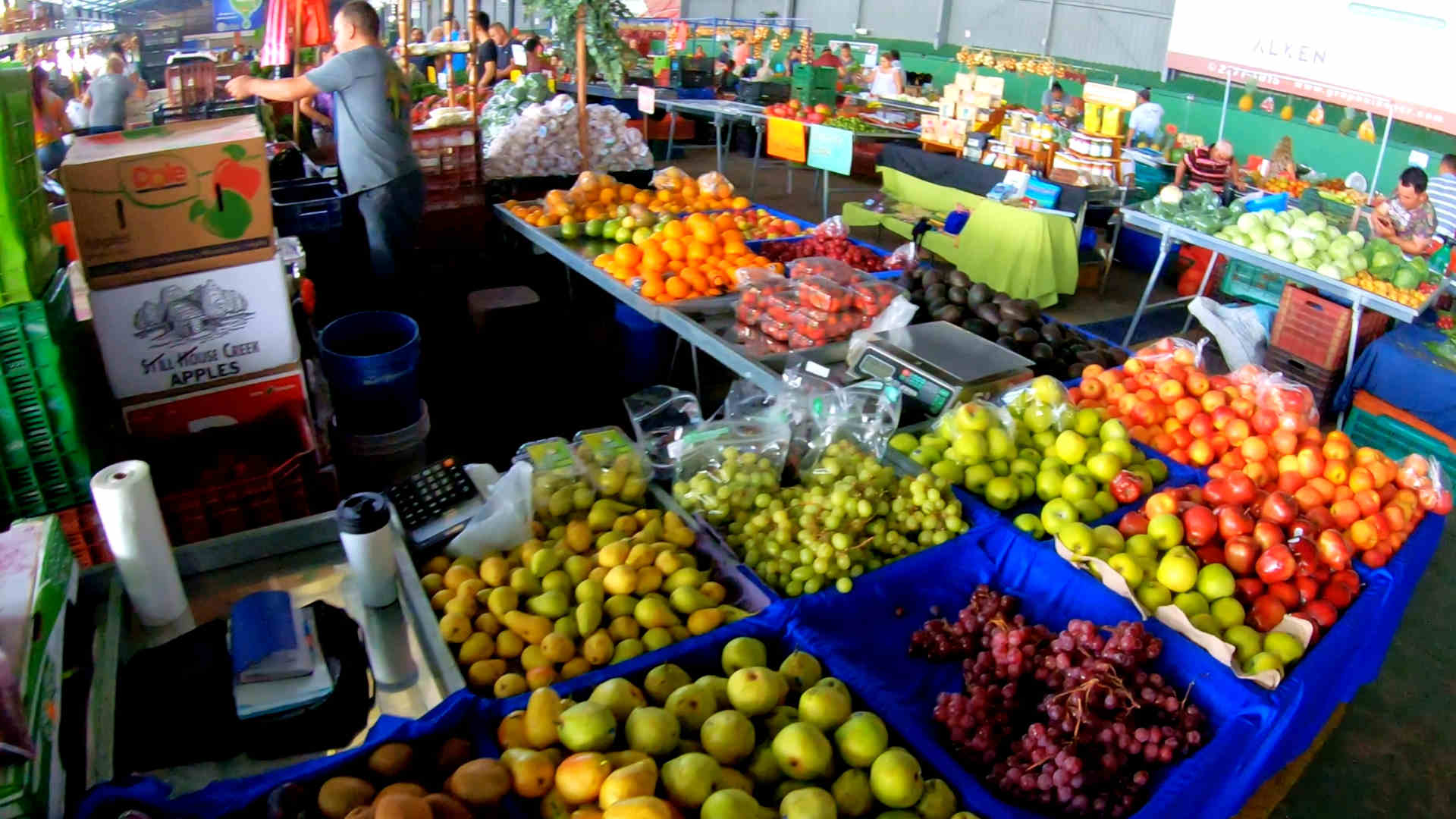 San Isidro Farmers Market: Top In Costa Rica