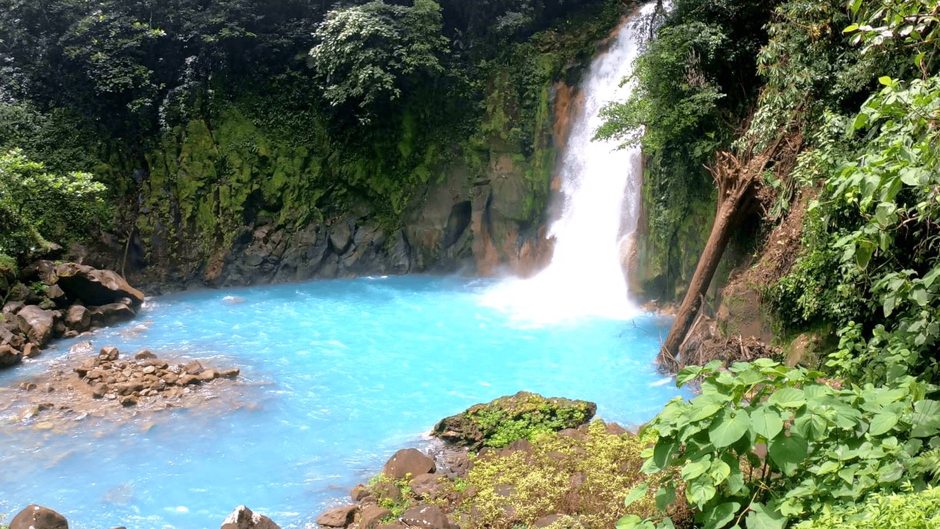 Rio Celeste: Magical Blue Waterfall